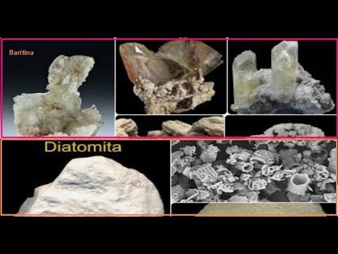 Video: ¿En qué tipo de roca se encuentra la diatomita?