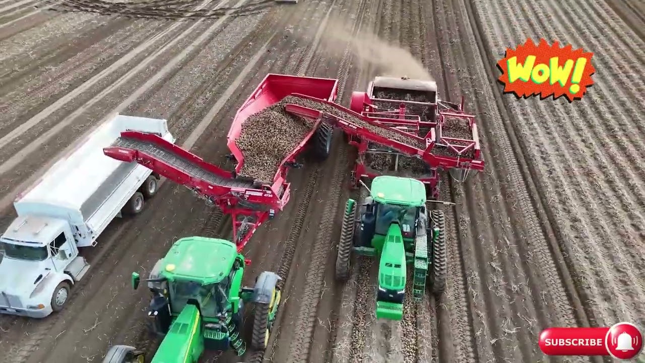 Grimme Spudnik 4735 in Action | Precision Potato Harvester Close-Up