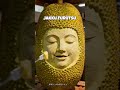 ジャックフルーツ | Jackfruit  #ショート