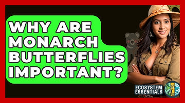 Why Are Monarch Butterflies Important? - Ecosystem Essentials