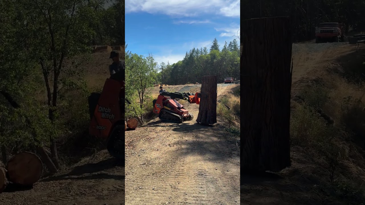 Ditch Witch SK3000 with klou fixed log grapple. 💪🏼