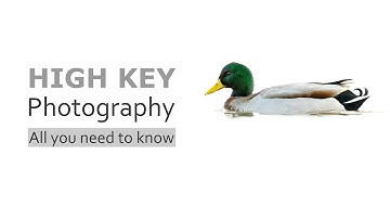 What is High Key Photography? | Your First High Key Image