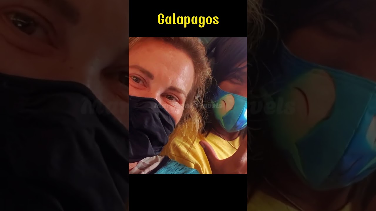 Exploring the Galapagos Islands: A Unique Adventure in 2020