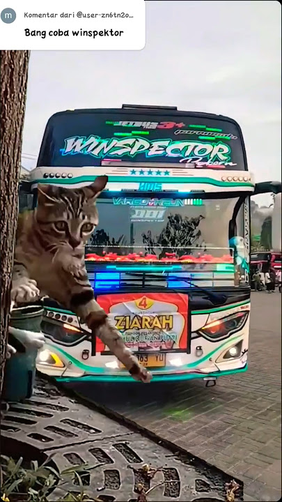 sampai KAGET 😂❗❗#kucingkaget #winspector #qqtrans #bussid #fypシ゚viral #shortsviral#ets2 #viralvideo