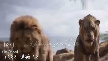 فما لهم عن التذكرة معرضين(٤٩) كأنهم حمر مستنفرة (٥٠)فرت من قسورة (٥١) بل يريد كل امرئ منهم أن…..(٥٢)