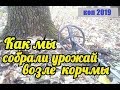 КОП 2019 Как мы собрали урожай возле корчмы