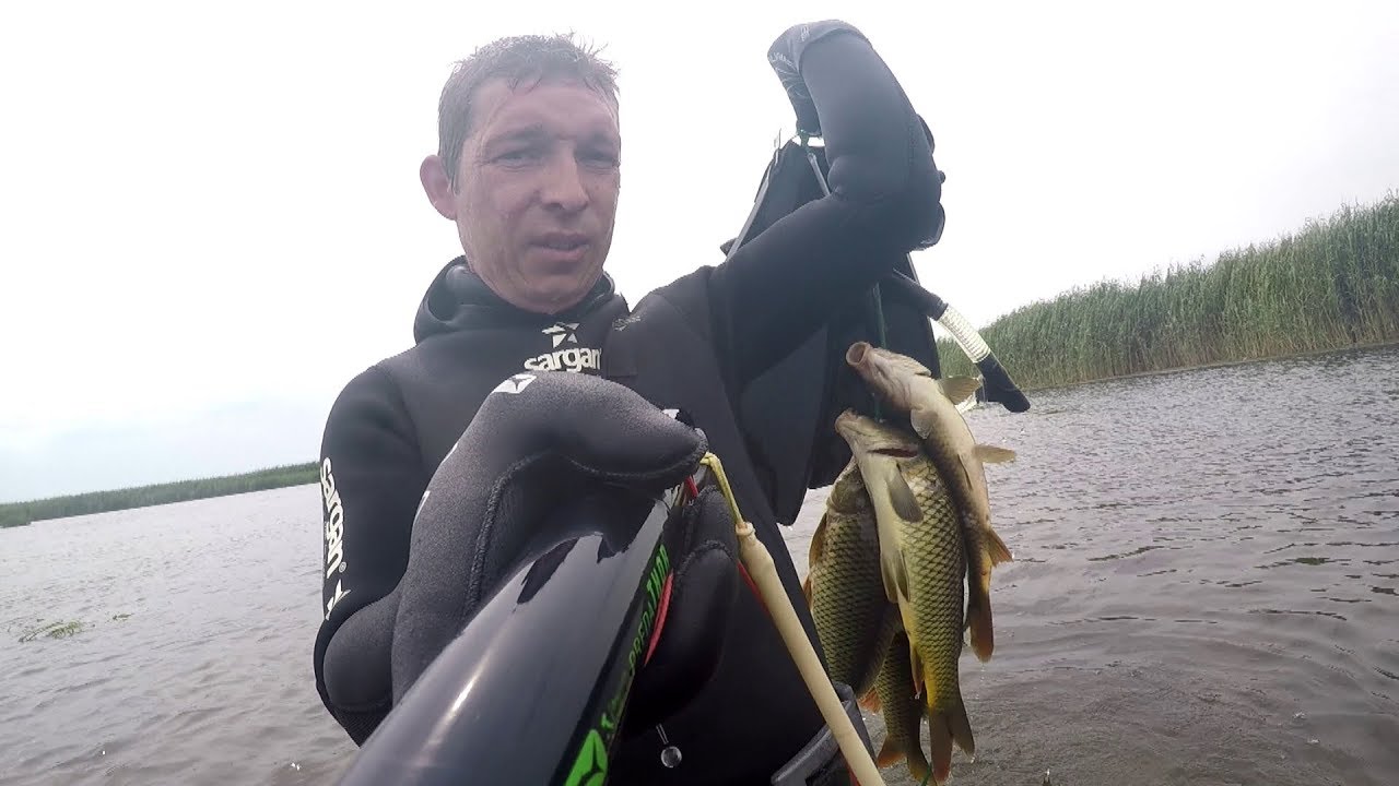 Видео ловля сазана на раскатах Видео ловля сазана на раскатах