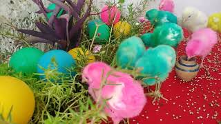 Chicken Cute Lovely Look Baby Chicks Colourful