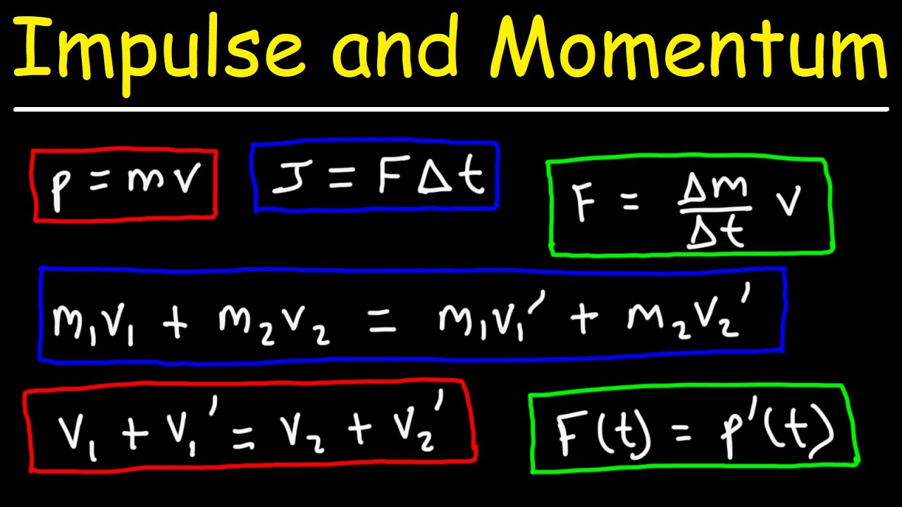 Momentum study quide