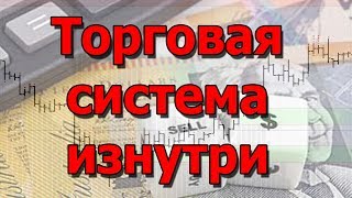 Трейдинг. Торговая система изнутри.