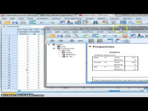 SPSS: Split file