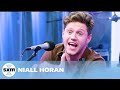 Niall Horan Reveals if One Direction Will Ever Reunite