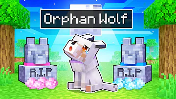 Aphmau Is An ORPHAN WOLF In Minecraft!