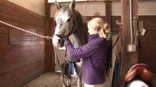 Horses Care & Grooming : How to Tack a Horse