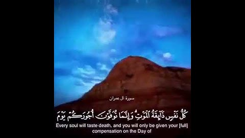 الشيخ لافي العوني تلاوه يخشع لها القلب