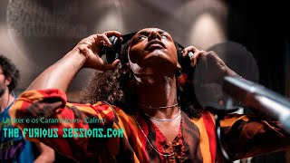 Famous Liniker e os Caramelows - Calmo I The Furious Sessions at Sol de Sants Studios (Barcelona) Net Worth