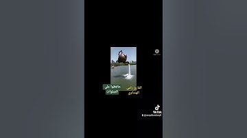 من سورة البقرة بصوت القارئ رامي الهنداوي