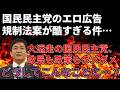 国民民主党に何度目の失望をした件＆副首都法案がクソな理由を解説