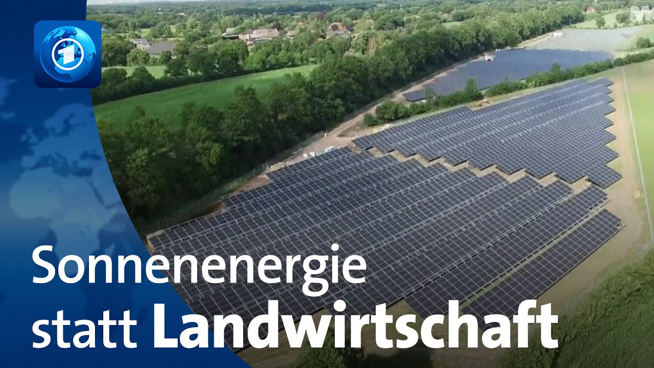Sonnenenergie statt Getreide