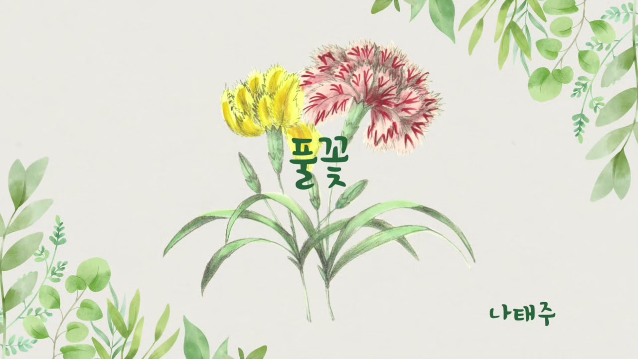 나태주시인 [ 풀꽃 ] - YouTube