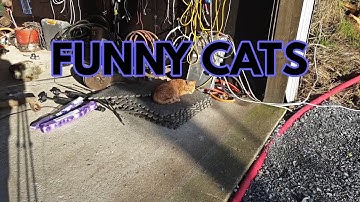 ZombieVerter VCU Software V2.04