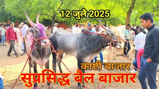 12 July 2025 || सुप्रसिद्ध शनिवारचा बैल बाजार काष्टी|| Bull 🐂 market in India♥️🔴@safarBazaarachi5204 12 July 2025 || सुप्रसिद्ध शनिवारचा बैल बाजार काष्टी|| Bull 🐂 market in India♥️🔴@safarBazaarachi5204