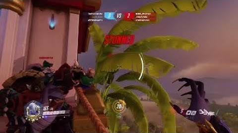 Moira V The Hog