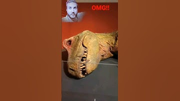 Worlds first dead T-Rex #shorts #short #shortsvideo #shorts #short #shortsvideo #views #omg