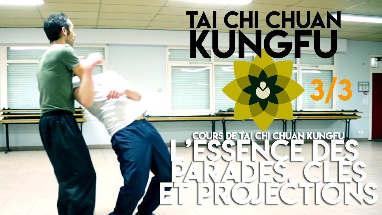 self defense comedy Tai chi chuan Kungfu - L'essence des parades des clés de bras et des projections partie 3/3