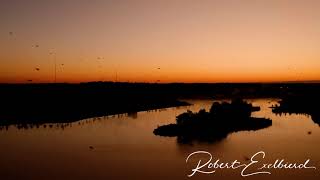 Drone Views Foggy Shelby Farms Lake Sunrise with the Birds  DJI Mavic 2 Pro