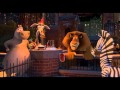 Madagascar 1 L Anniversaire De Marty 
