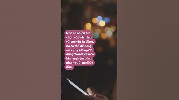 WP Rocket – Plugin Giúp Tăng Tốc Độ Website WordPress Nhanh Chóng 3