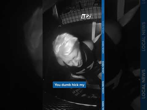 Glass to the face, profanity, and a pit bull attack: Florida woman’s violent outburst ends in jail