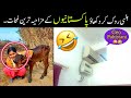 Most Funny Moments Of Pakistani People 😅😜-part;-124 | pakistani funny video