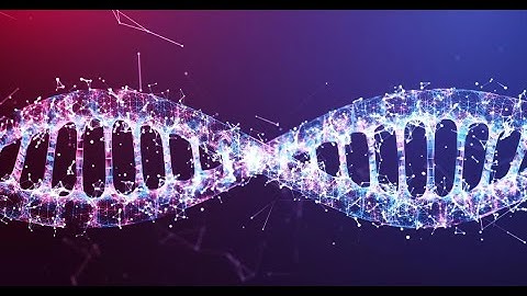 Decoding Genome Editing Harnessing DNA Repair Machinery
