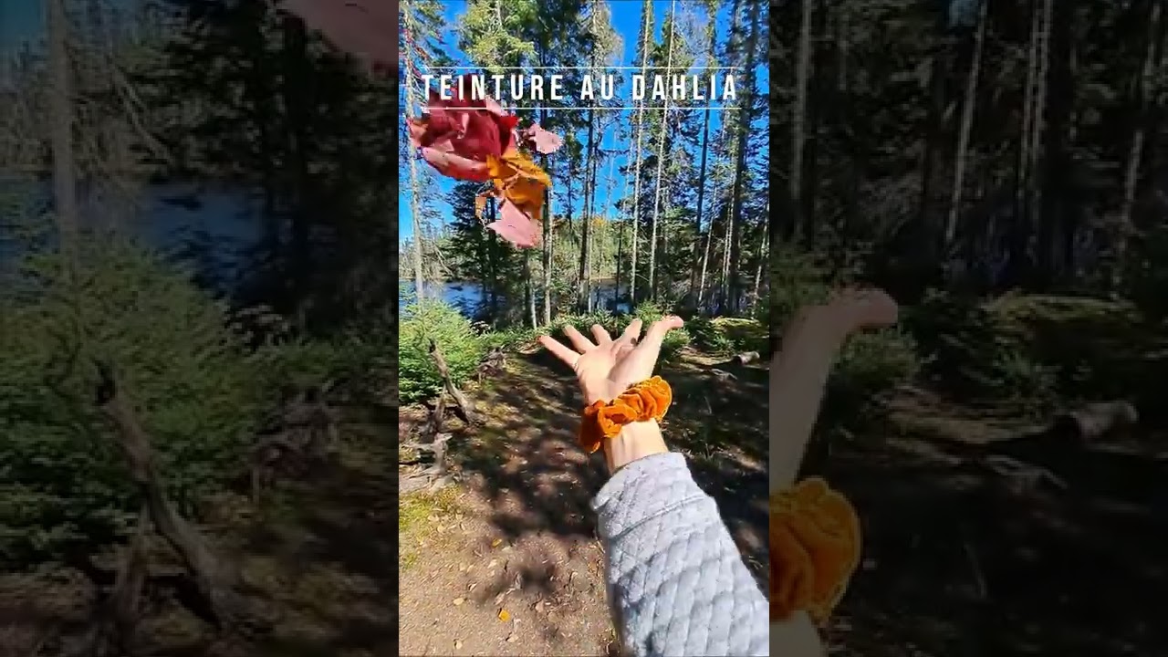 YouTube player