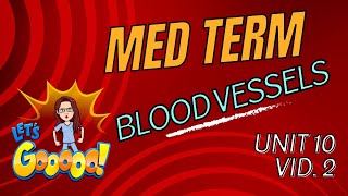 Active Learning: Types of Blood Vessels Explained! Arteries, Veins, and Capillaries 💉 Unit 10  VID 2 Blood Vessels Explained Arteries Veins And Capillaries Lesson