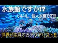 オールブルーは存在した⁉世界が注目する超巨大水槽のあるカーショップ‼ サンゴ 海水 aquarium アクアリウム タヒチ ワンピース