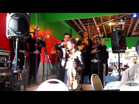 Mariachi Alta California @ El Texate in Santa Monica