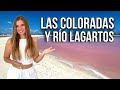 Video de Rio Lagartos