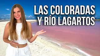 Las COLORADAS y RÍO LAGARTOS, Yucatán 😍 MÉXICO