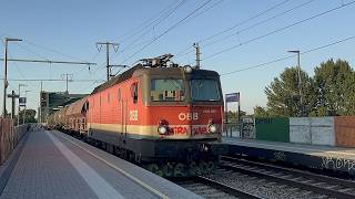 Zugverkehr in Wien Praterkai: Mit Rh 1144 (Alpenstaubsauger) und Rh 2016