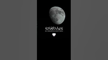 و عسى أن تكرهوا شيئا وهو خير لكم #قرآن #قران_كريم #تلاوة_خاشعة #اكسبلور #المصحف #quran #لايك #islam