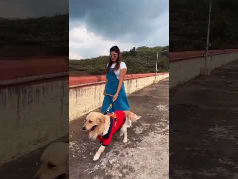 Pet-friendly place in Ooty🐶