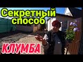 Секретный способ для самой красивой клумбы!