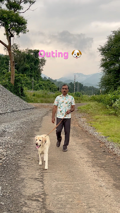 Whatsapee 🐶enjoying nature with papa#dog #viralvideo #shorts #whatsapee ❤️
