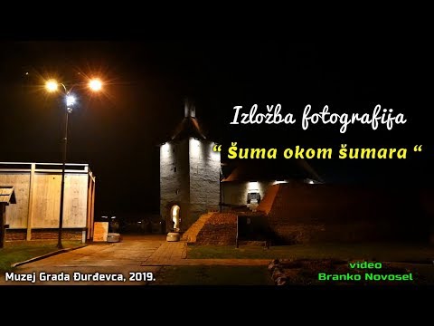 Izložba fotografija "Šuma okom šumara", Đurđevac  2019.