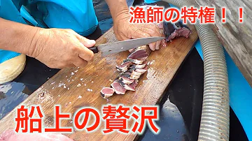 تحميل カツオ一本釣り تحميل カツオ一本釣り