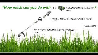 How much can you do with a 5Amp EGO Battery and MST1501 String Trimmer