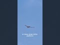 China Tests Massive Stealth Combat Drone — GJ-X Revealed! #china #chinanews #chinamilitarypower